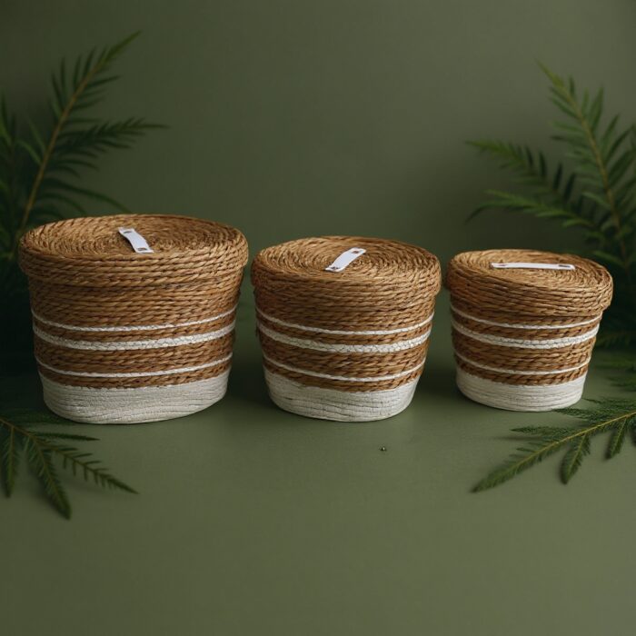 მოწნული კალათების სამეული მოწნული კალათა თავსახურით დიდი - Image 5