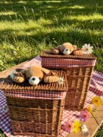 ყავისფერი ხის დათუნია სათავსოების ნაკრები